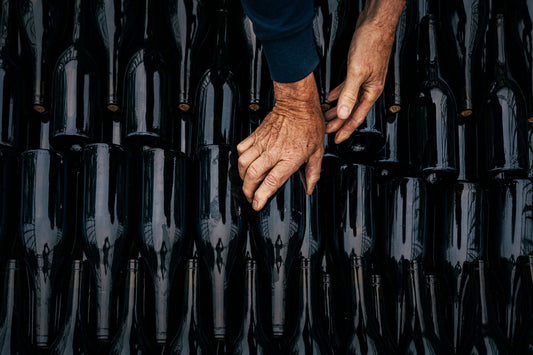 Tannin Management at Bottling: What Precision Enological Technology Can Do That Time Cannot