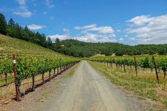 Episode 11: Filling the Void – Giving Structure and Finish to Joel Gott’s 815 Cabernet Sauvignon