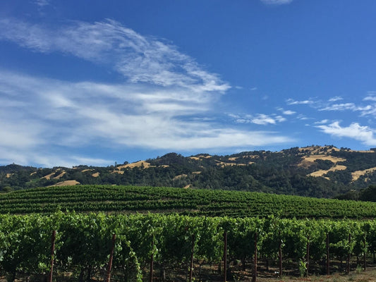 Episode 3: Elevating an American Favorite - Josh Cellars Pinot Noir with ADVINTAGE® Light